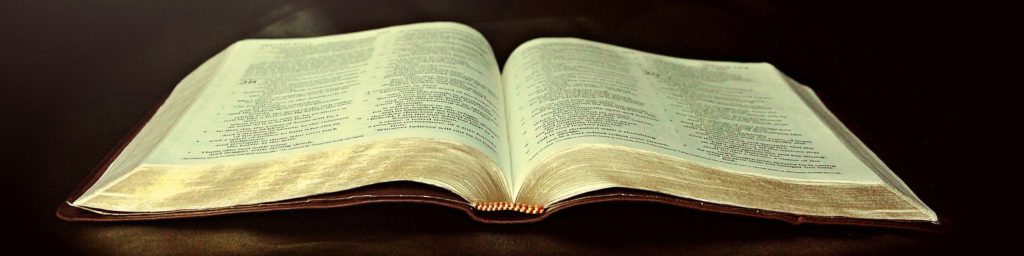 An open Bible, introducing the elder's teachings